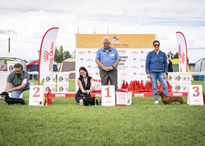 bassotto campione esposizione cacib bog