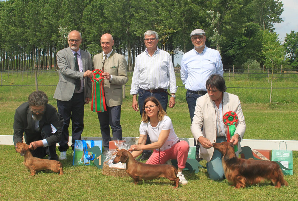 Raduno Bassotti ABC di Santa Maria di Sala (VE)