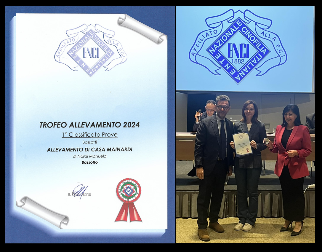Trofeo Allevamento ENCI Prove Bassotti 2024