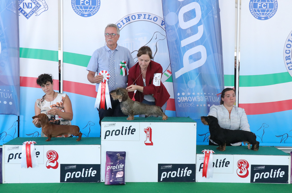 NDS di Vicenza 2025: Uramaki Dragon di Casa Mainardi 1° BOG