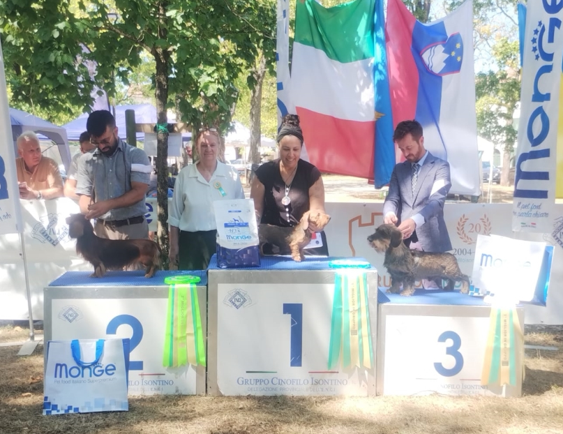 IDS di Gorizia del 13/08/2026
